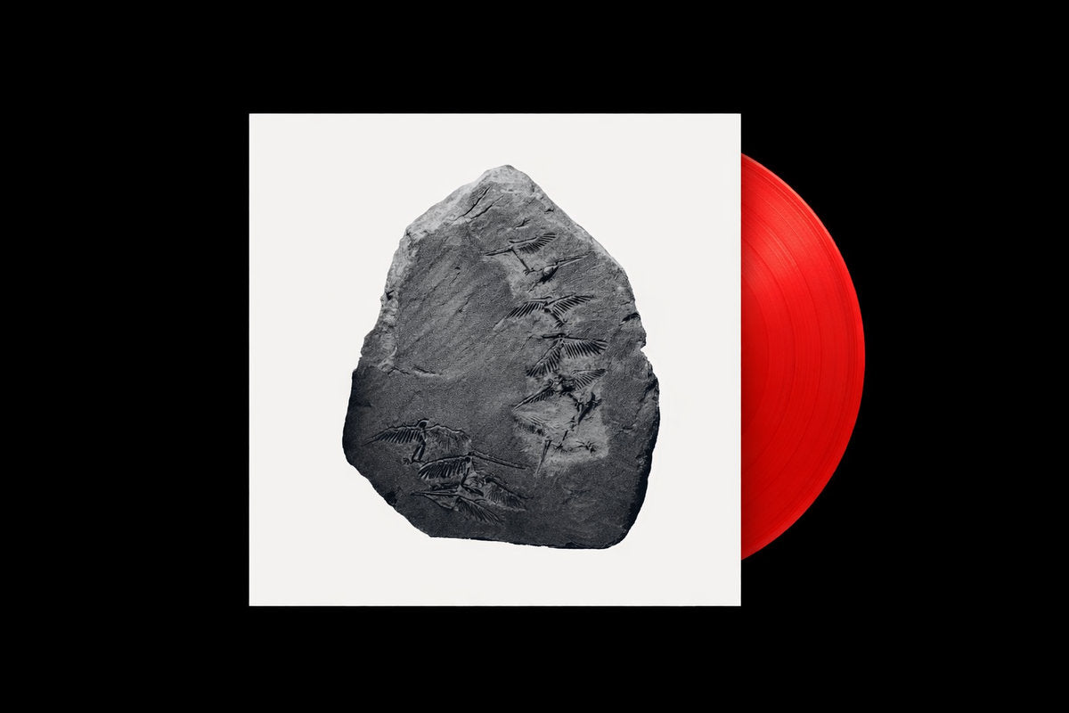 Ignez - Remixes Rødhåd, Sterac, Ø [Phase] & Mathys Lenne [Somov Records]