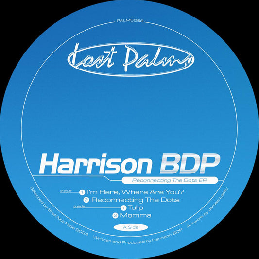 Harrison BDP - Reconnecting The Dots EP [Lost Palms]