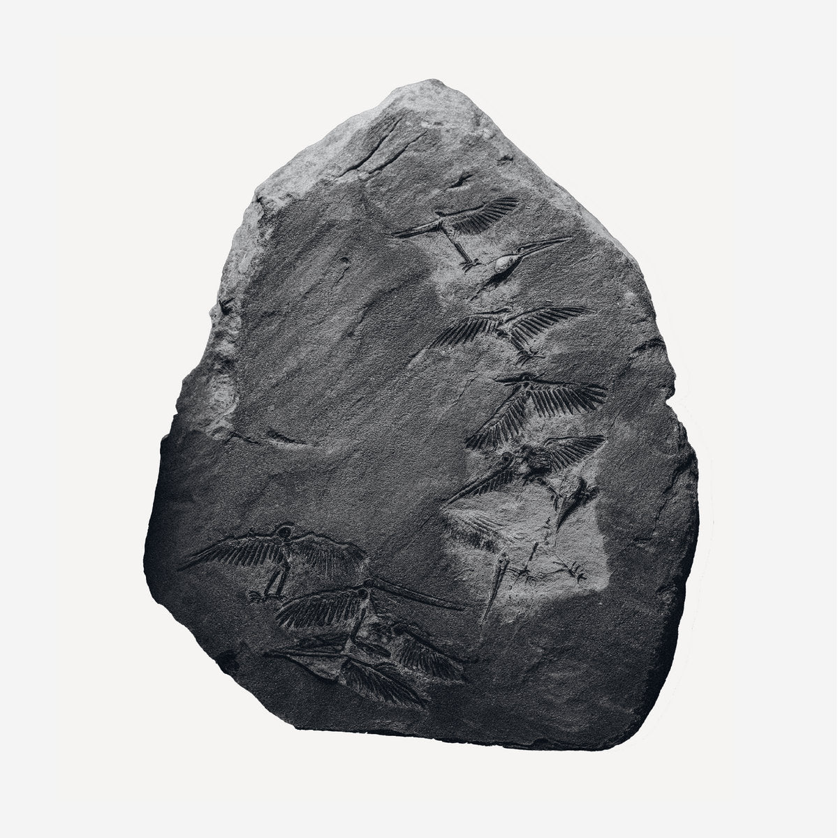 Ignez - Remixes Rødhåd, Sterac, Ø [Phase] & Mathys Lenne [Somov Records]