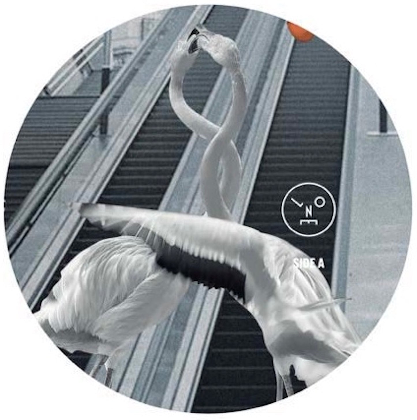 Sasha & Henry Saiz - Love Is All You Need [Last Night On Earth]