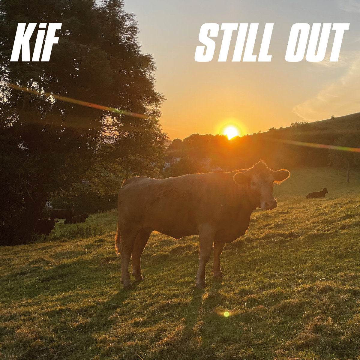 KiF - Still Out [Sound Records]