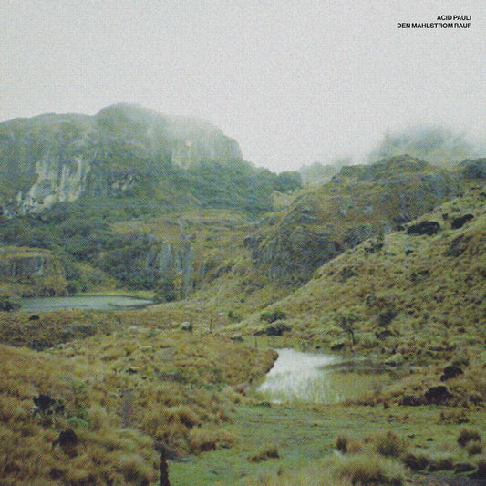 Acid Pauli - Den Mahlstrom rauf [All Is Acid]