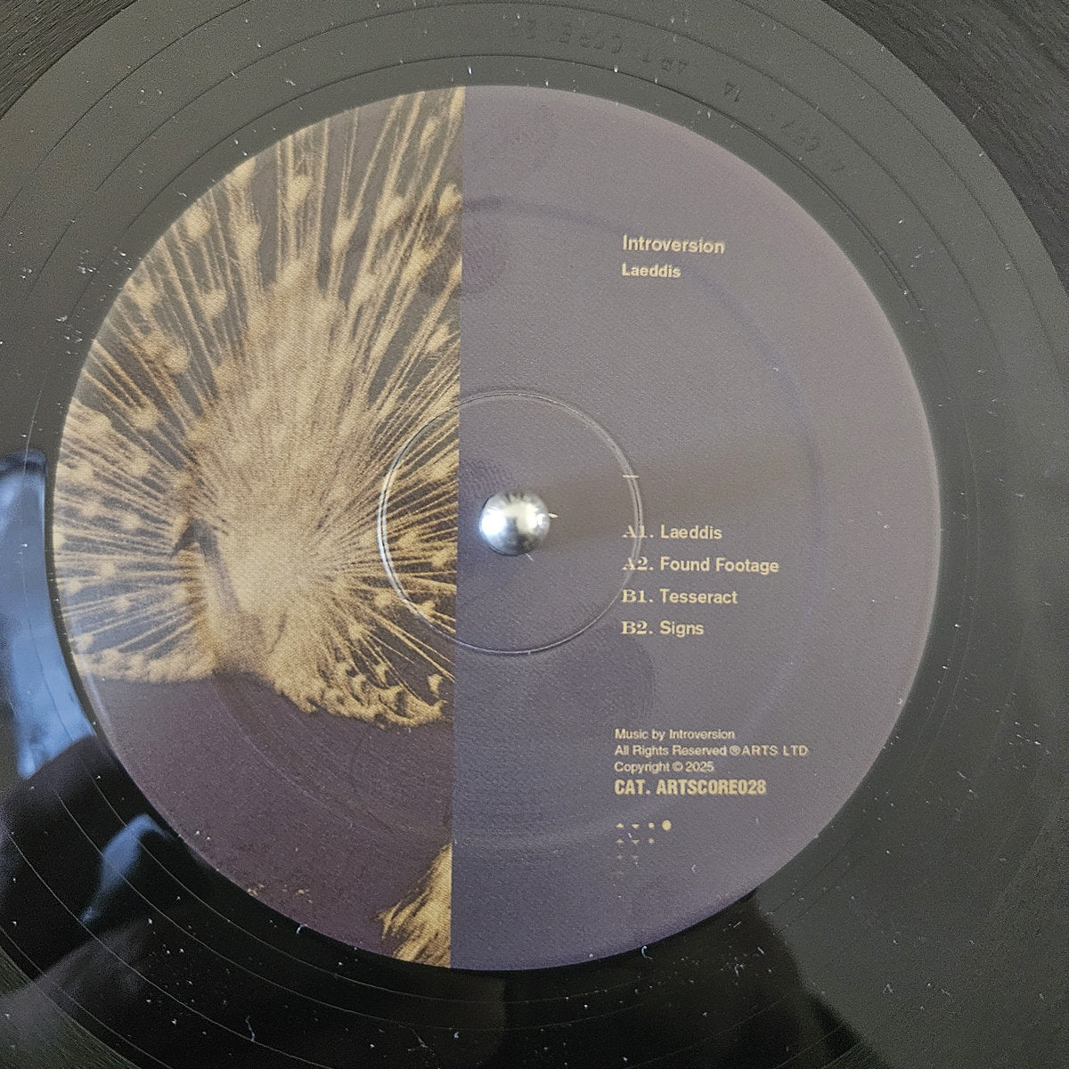 Introversion - Laeddis [Arts]