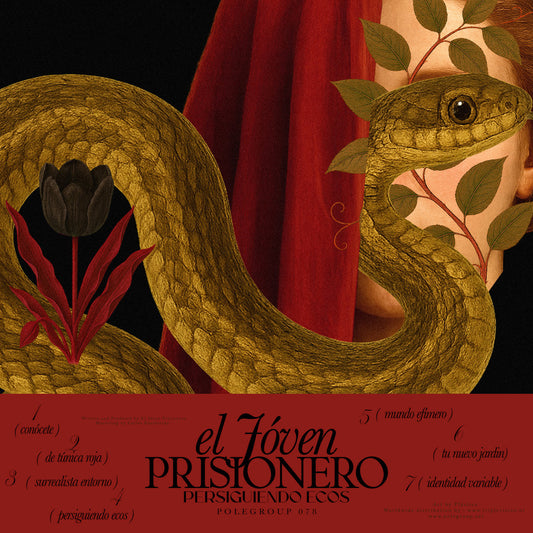 Joven Prisionero - Persiguiendo Ecos EP [PoleGroup]