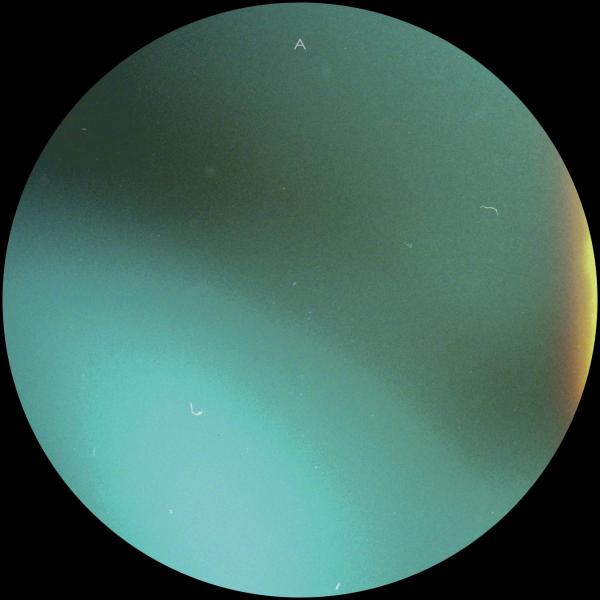 Setaoc Mass - Surface For Air EP [Soma]