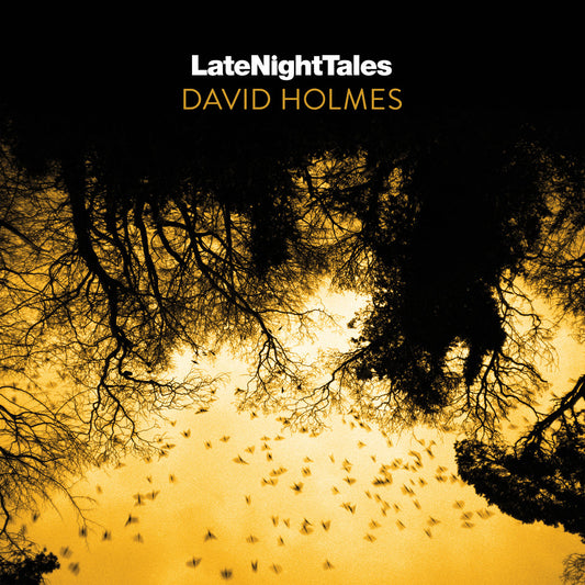 Late Night Tales: David Holmes (2LP)