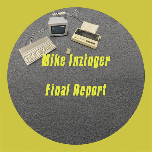 Mike Inzinger - Final Report [MIR]
