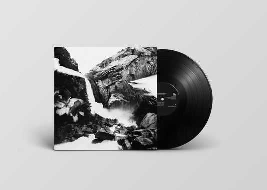 Various Artists - No Boundaries: Six [Illegal Alien Records]