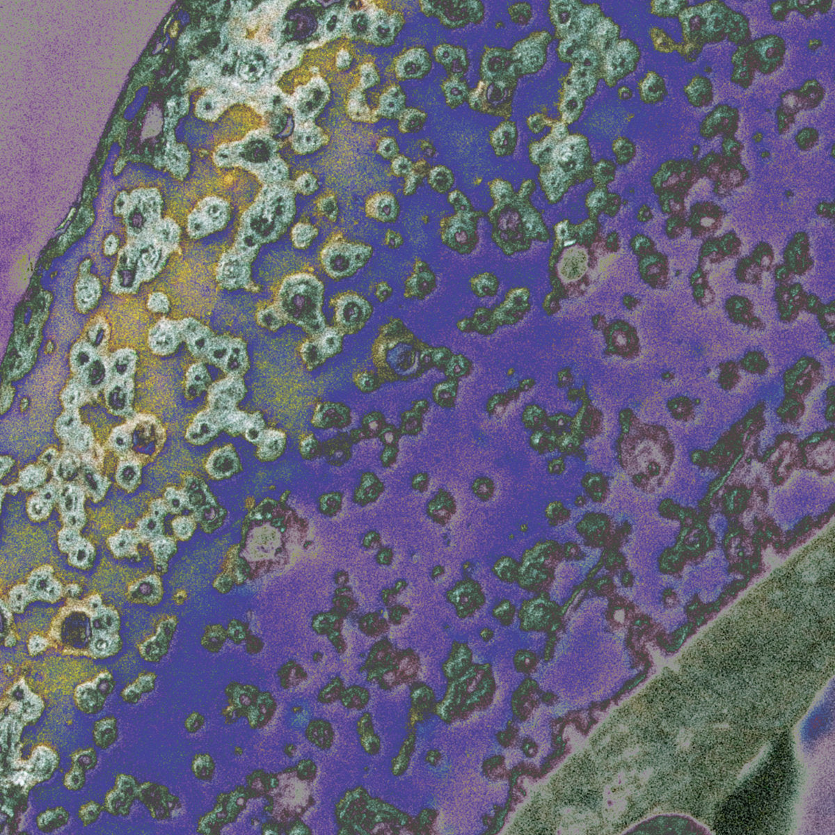 Various Artists - Nature's Structure (2LP) [K S R]