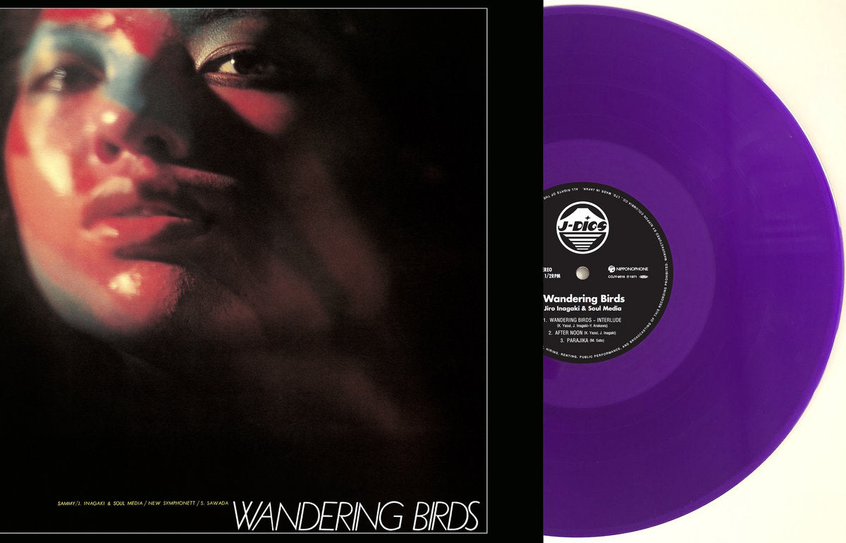 Jiro Inagaki & Soul Media - Wandering Birds [Nipponophone]