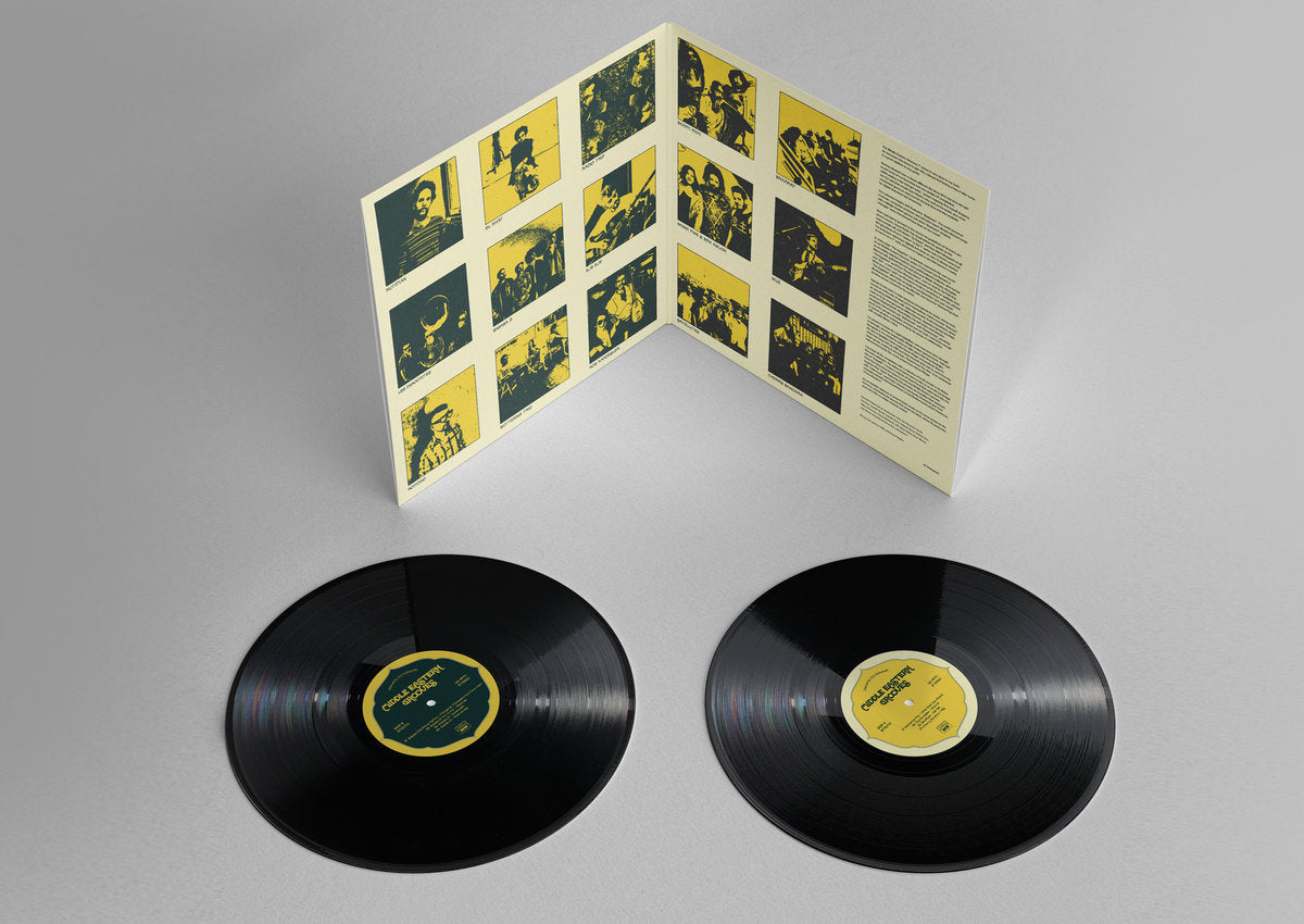 Various Artists - Middle Eastern Grooves (Selected by DJ Kobayashi) (2LP) [Batov Records]