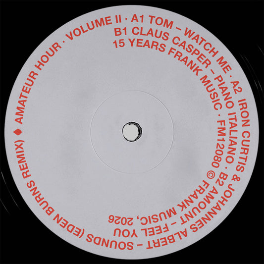 V/A - Amateur Hour Vol. II [Frank Music]