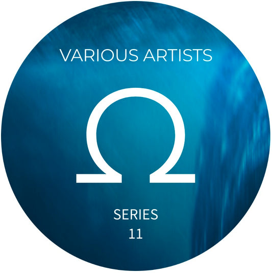 Various Artists - Ohme Series #11 [OHM Series]
