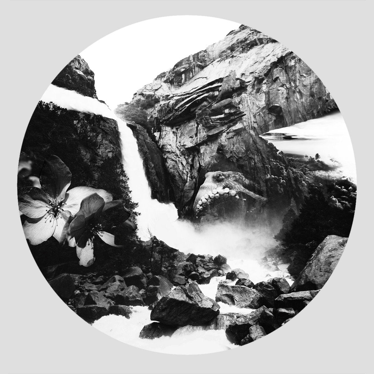 Various Artists - No Boundaries: Six [Illegal Alien Records]