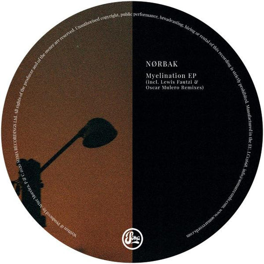 Nørbak - Myelination [Soma]