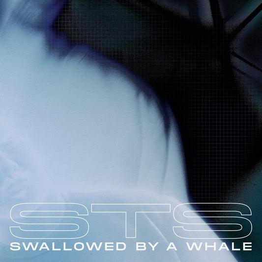 STS - Swallowed By A Whale (Incl. Danny Daze x Jonny From Space & Warzou Remixes)