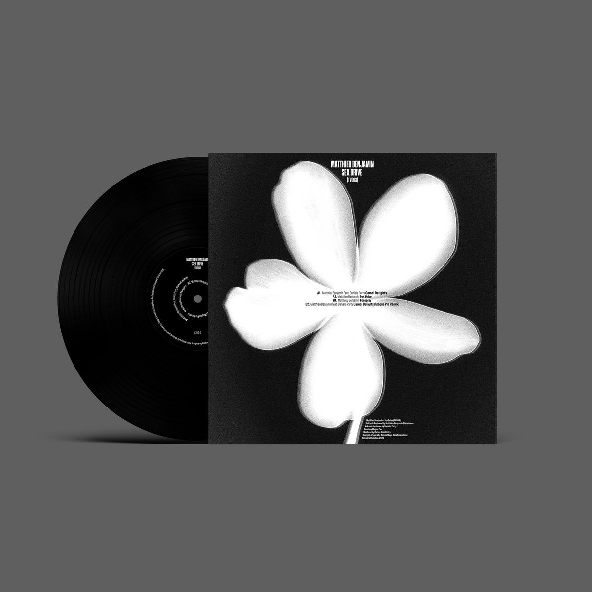 Matthieu Benjamin - Sex Drive [Temporal Variation]