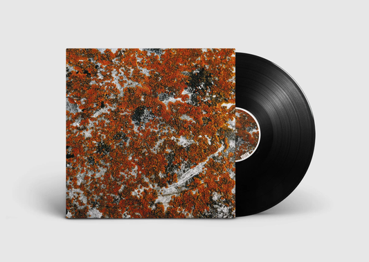 Border One - Spectral Tension [Token]