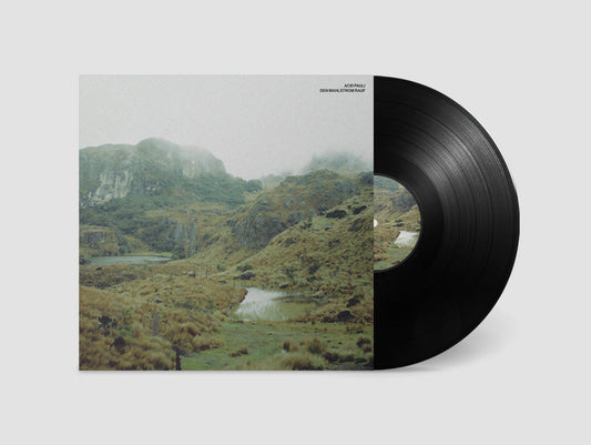 Acid Pauli - Den Mahlstrom rauf [All Is Acid]