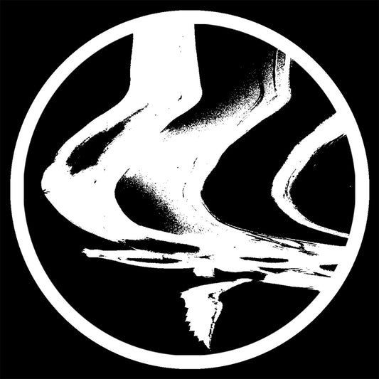 The Chronics - Voices From The Void EP [Stützpunkt]