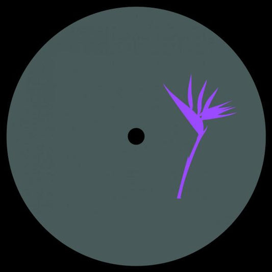 Zenk & Ted Amber - Memesis EP incl Ted Amber Remix [Purple Print]