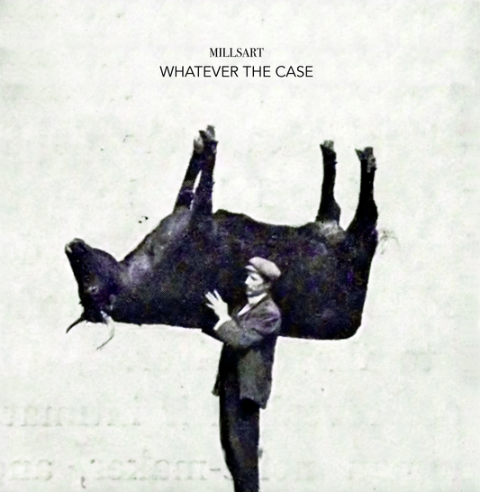 Millsart aka Jeff Mills - Whatever The Case [Axis Records]