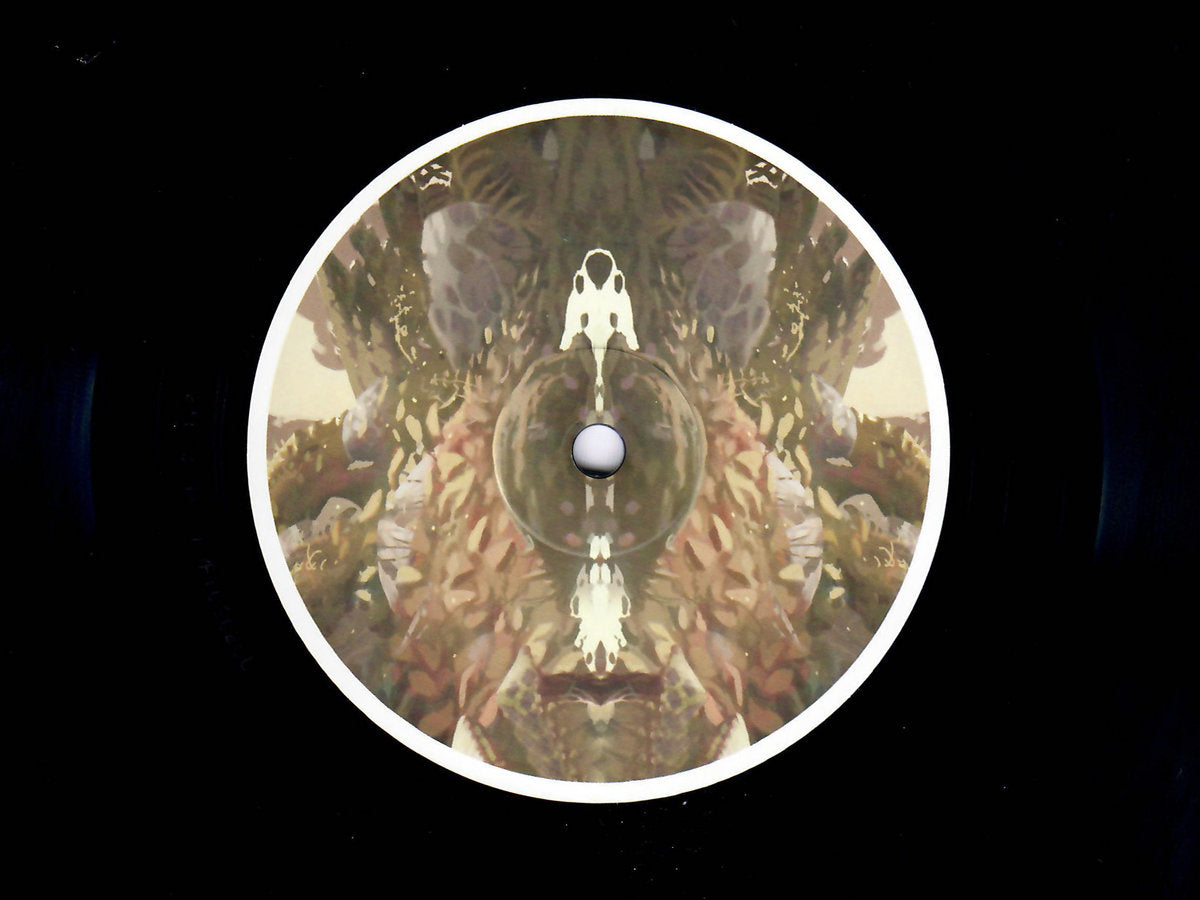 Birds ov Paradise - Plateau [Hypnus Records]