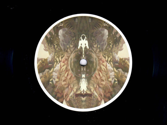 Birds ov Paradise - Plateau [Hypnus Records]