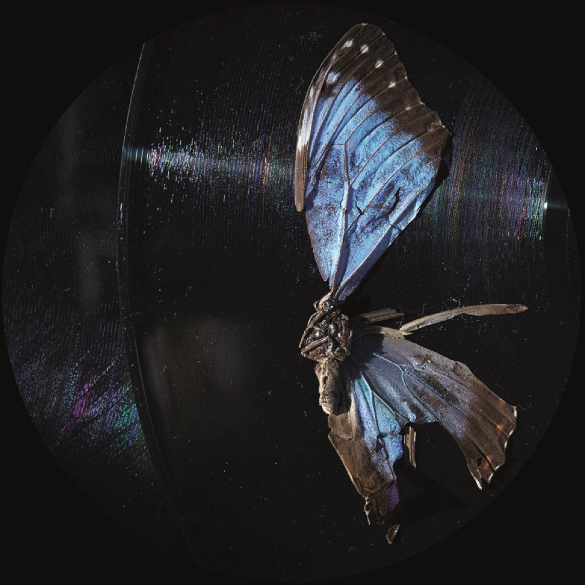 Ben Buitendijk - Past And Present EP [Oblique Music]