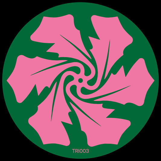 Verlake - Echoing [The Rose Island]