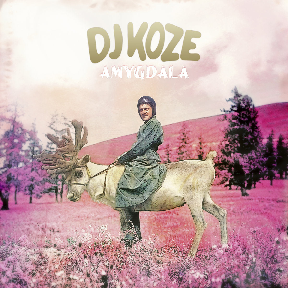 DJ Koze - Amygdala (Vinilo transparente + 12"x2LP + 7") [Pampa]