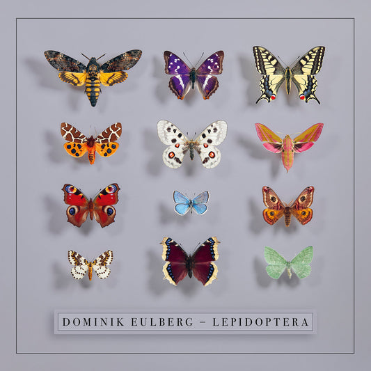 Dominik Eulberg - Lepidoptera (2LP) [!K7]