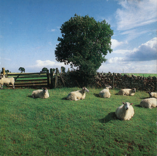 The KLF - Chill Out [KLF]