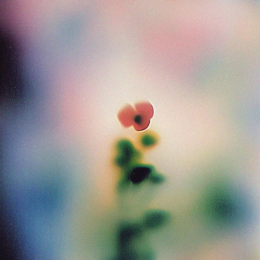 Wala - SMV012 [Somov Records]