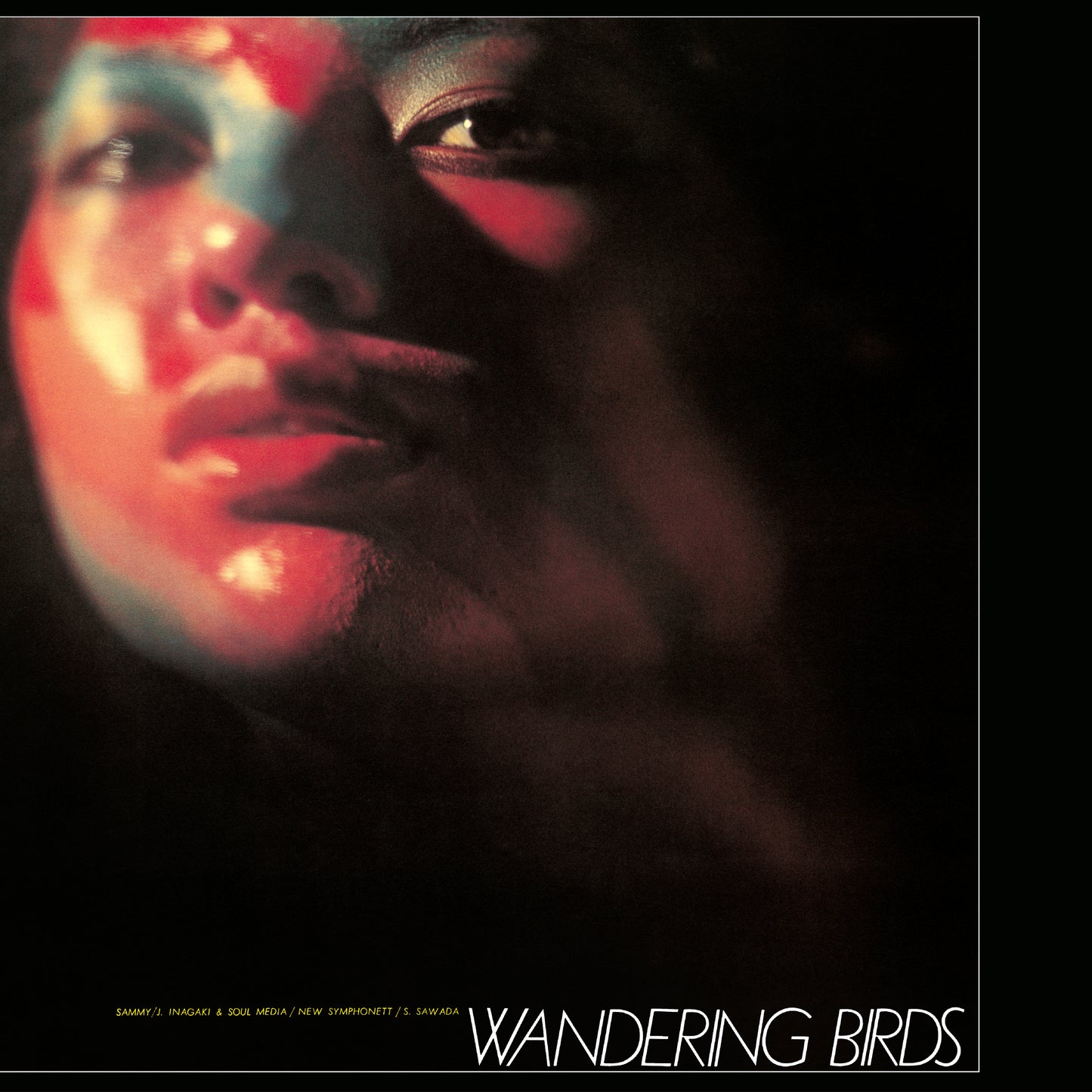 Jiro Inagaki & Soul Media - Wandering Birds [Nipponophone]