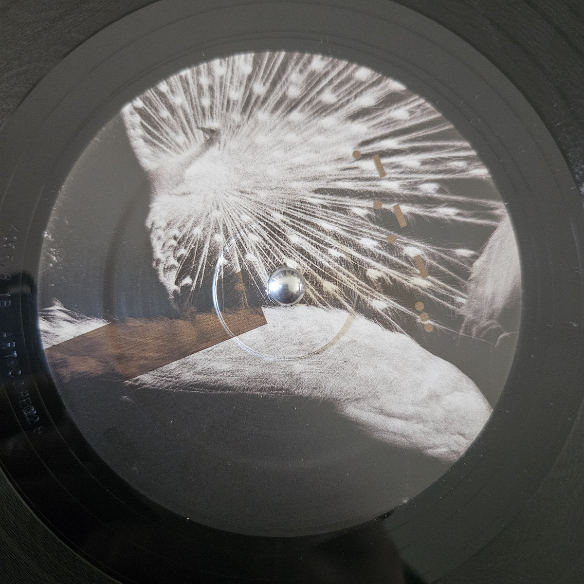 Introversion - Laeddis [Arts]