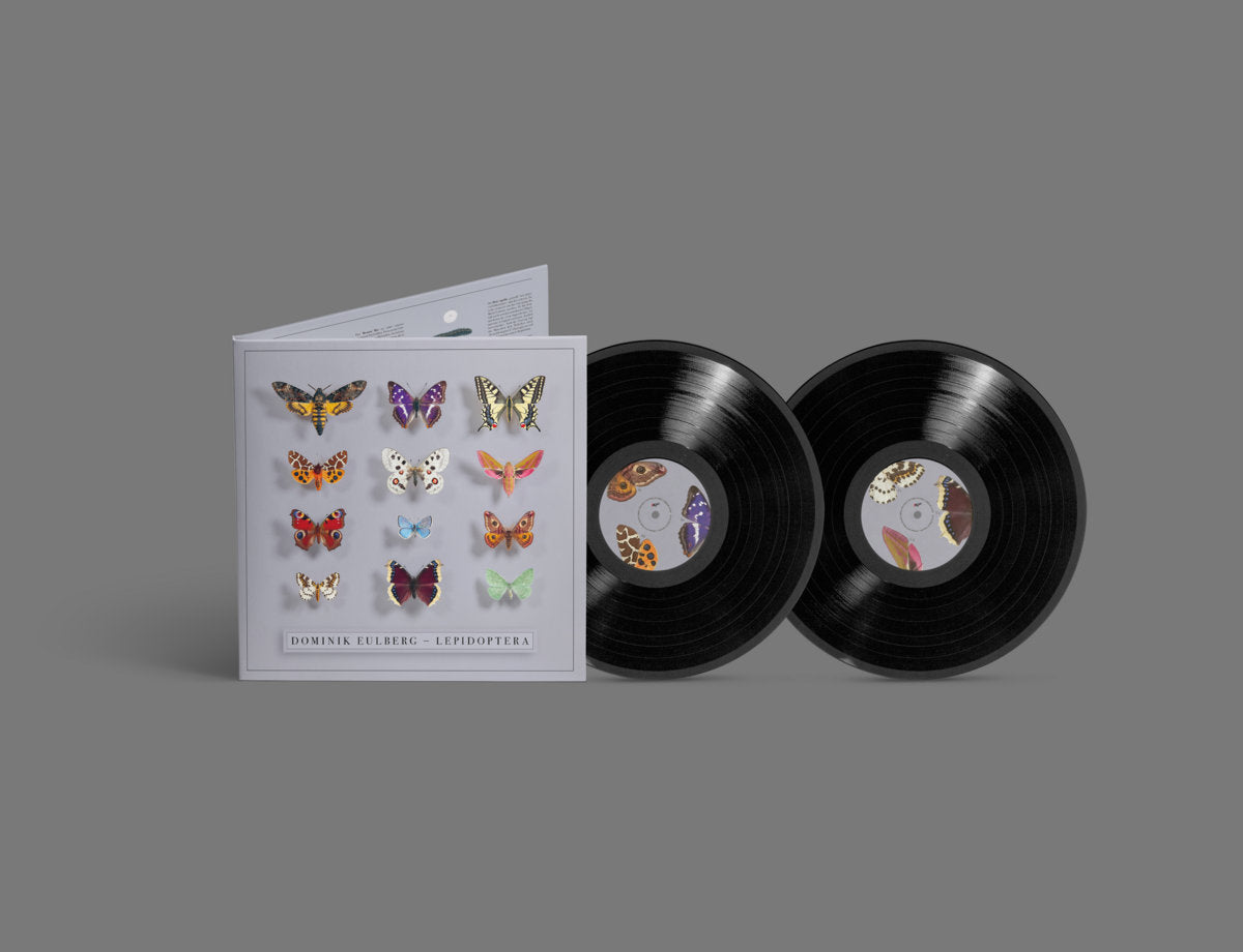 Dominik Eulberg - Lepidoptera (2LP) [!K7]