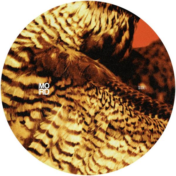 Amorphic & Tensal - Highland Frequencies EP [Mord]