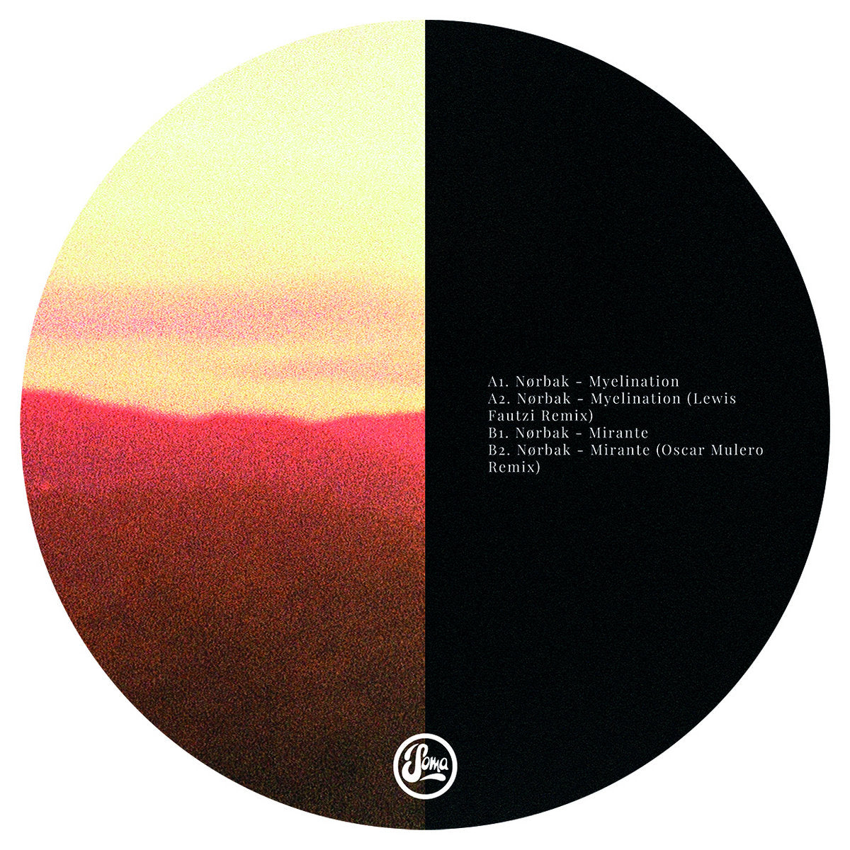 Nørbak - Myelination [Soma]