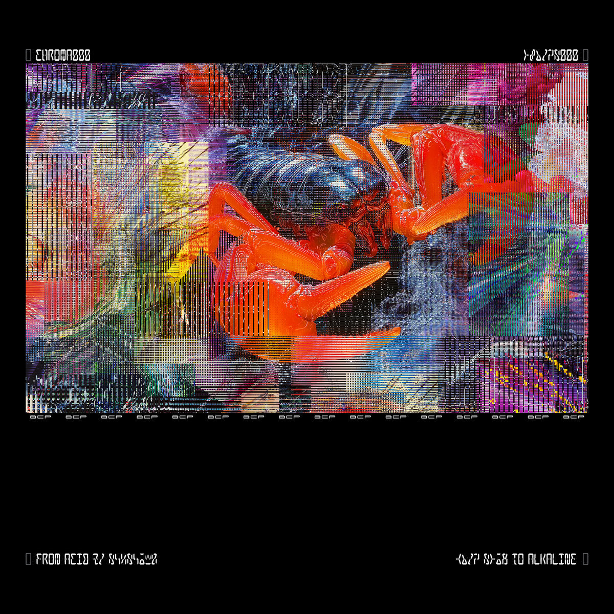 Bicep - Chroma 000 (Box Set) [Chroma]