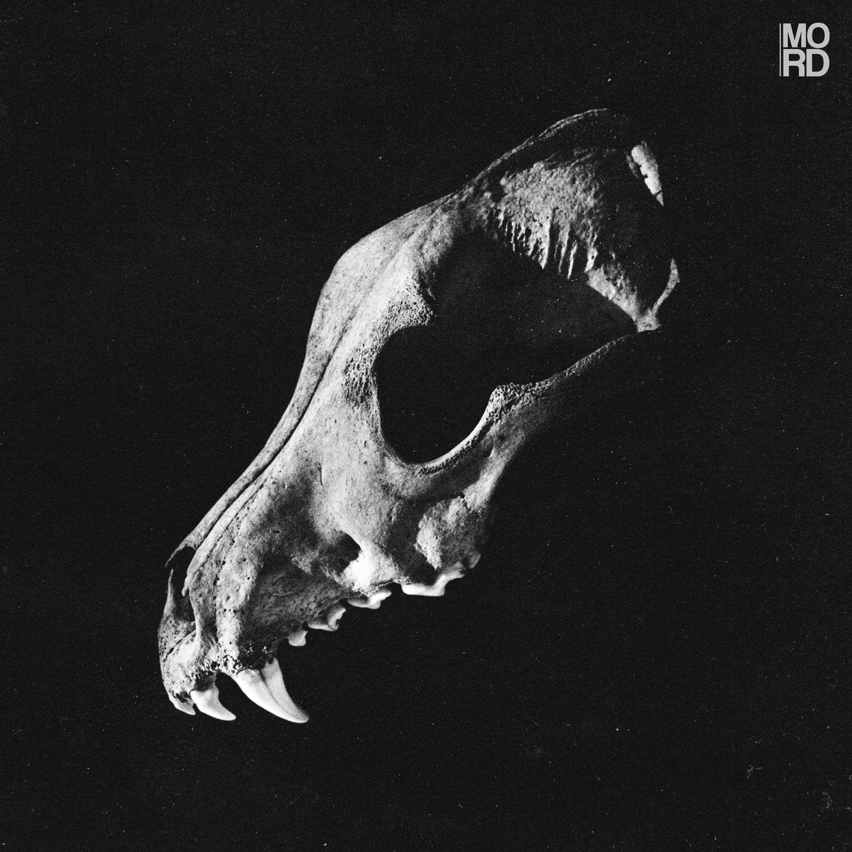 Oxygeno - Body Of Divinity EP [Mord]