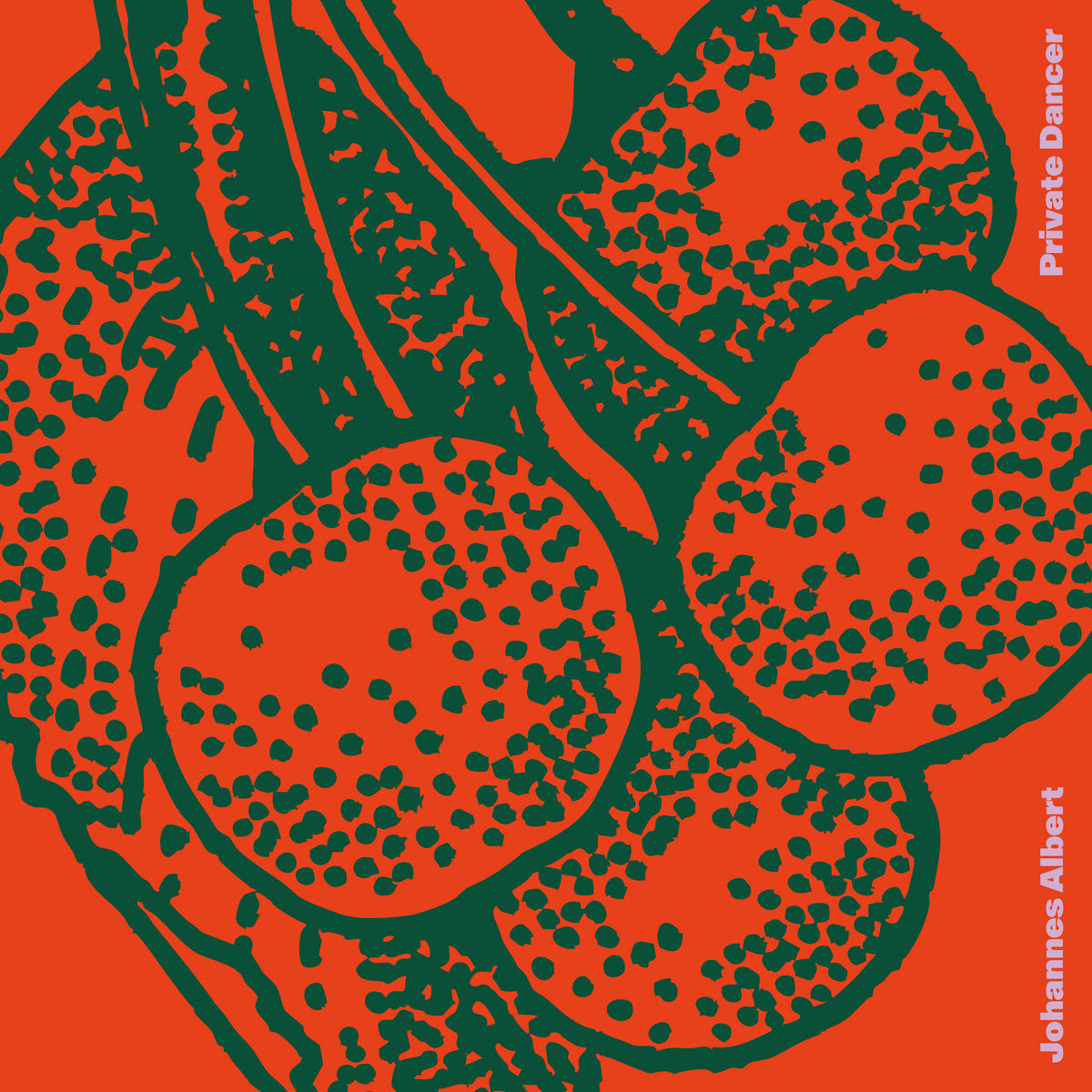 Johannes Albert - Private Dancer (LP) [Permanent Vacation]