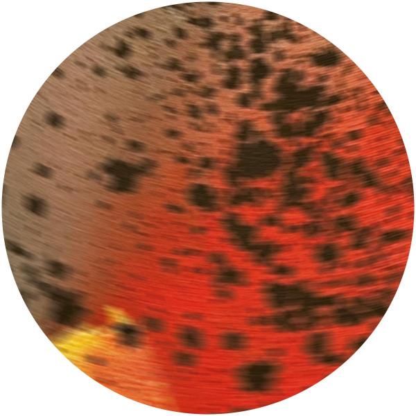 Sciahri - Pareidolia III [Sublunar]