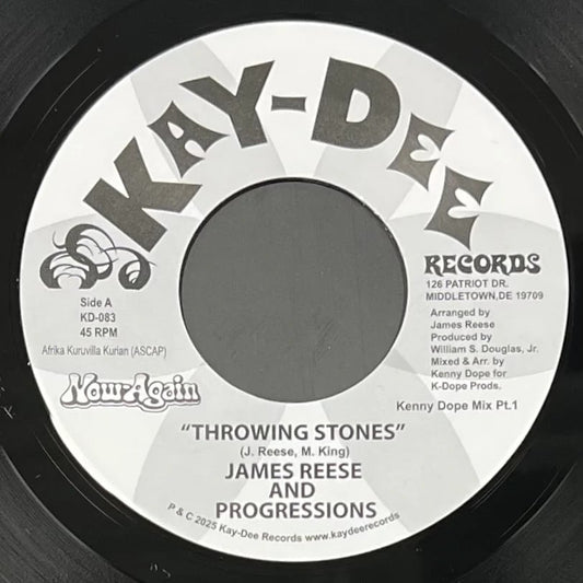 James Reese & The Progressions - Throwing Stones (Kenny Dope Mixes) [Kay-Dee Records]