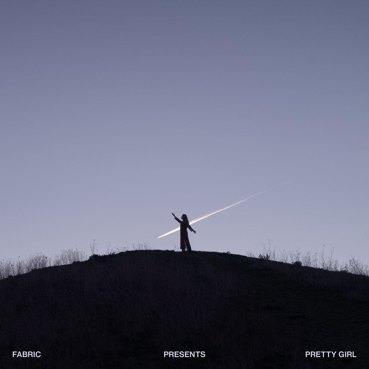 fabric presents Pretty Girl (2LP) [fabric]