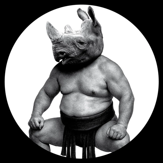 Conceptual - Between Sand And Roses [Non Series]