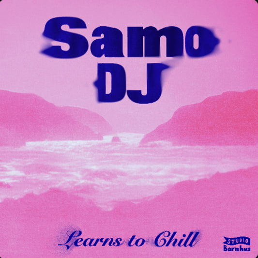 Samo DJ - Learns To Chill [Studio Barnhus]