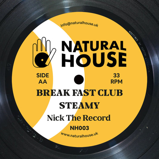 Nick The Record - Move On Down To The Other Side [Natural House]