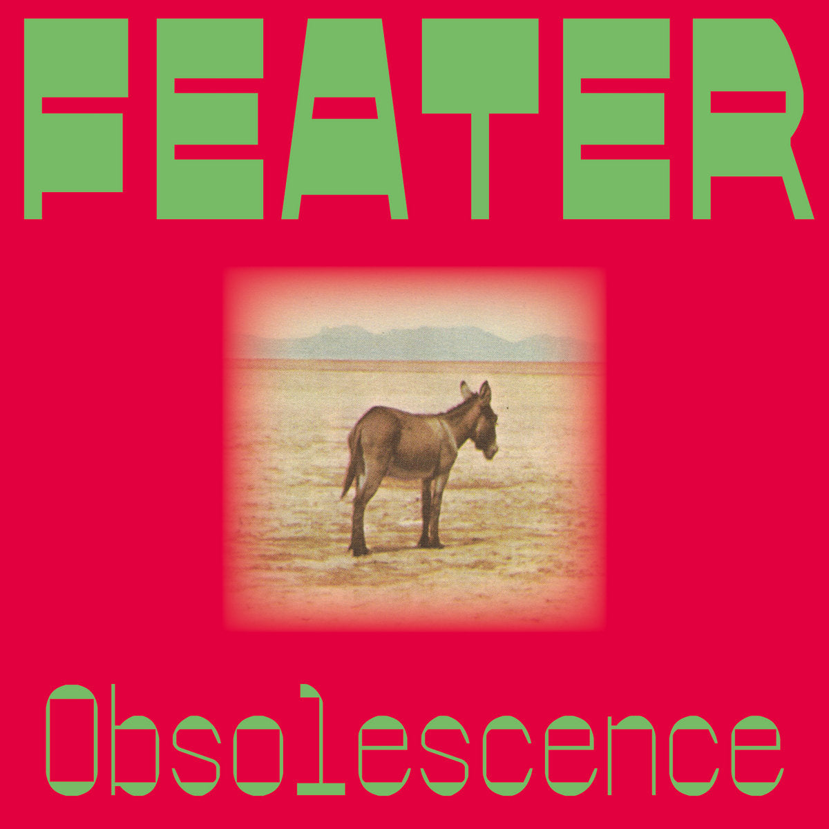 Feater - Obsolescence (LP) [Running Back Incantations]