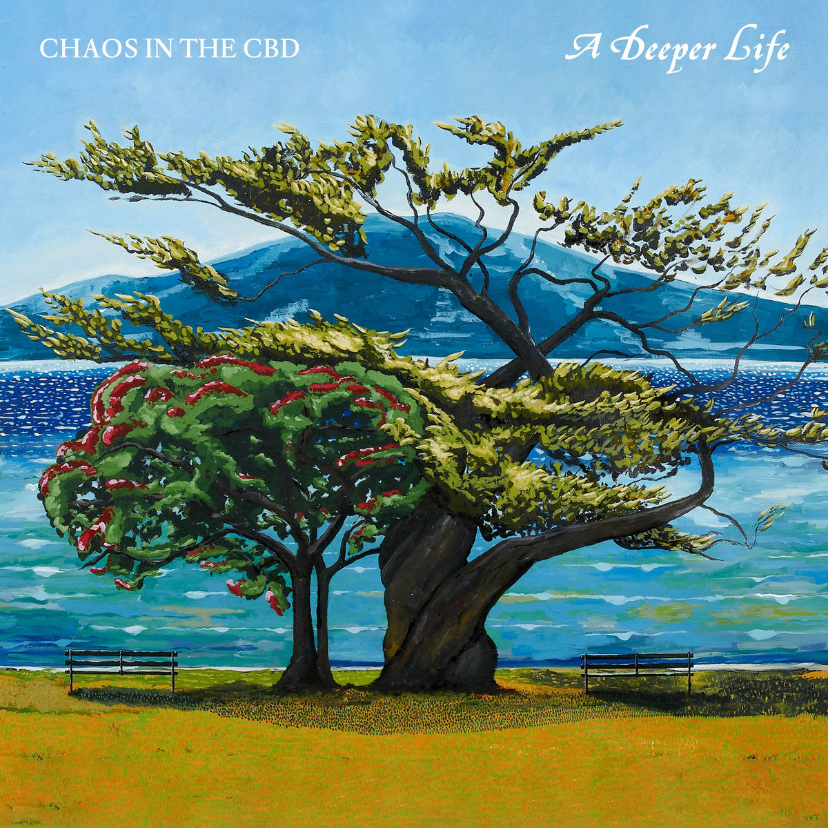 Chaos In The CBD - A Deeper Life (2LP) [In Dust We Trust]